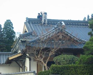 伝統建築の瓦工事